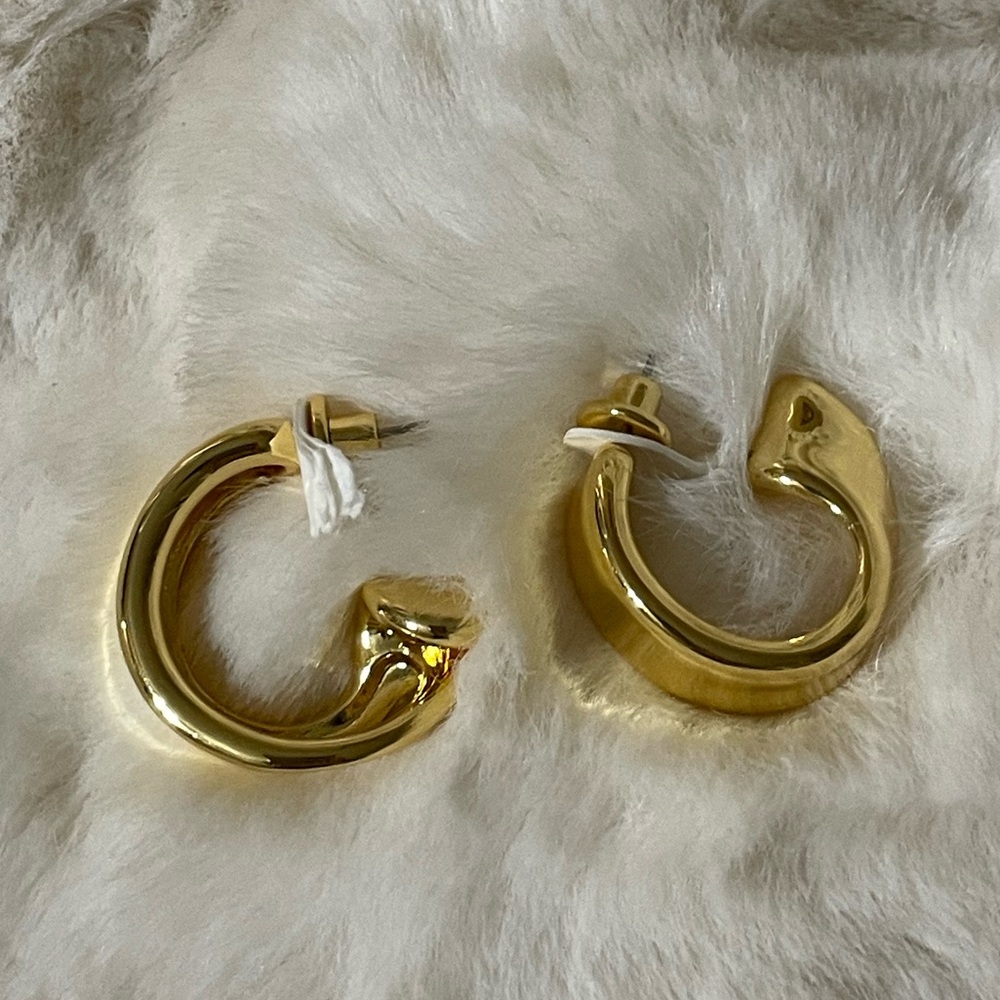 Jenny Bird Earrings
